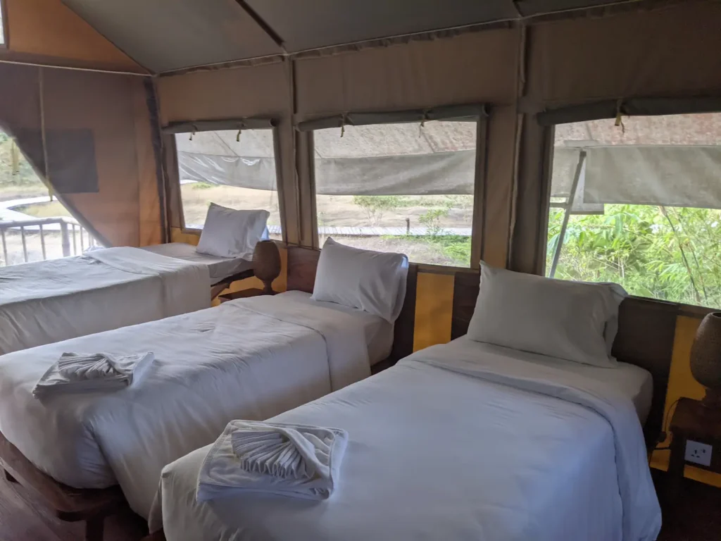 Three single beds with white sheets lined up again a large square tent wall. Behind them are tent windows with mosquito screens. 