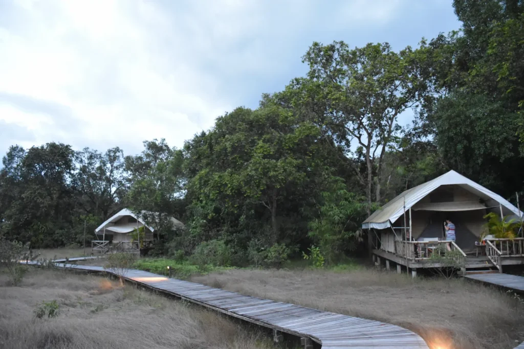 A wooden boardwalk sweeps to the left over grassland. Along the boardwalk are two safari-style tents.
