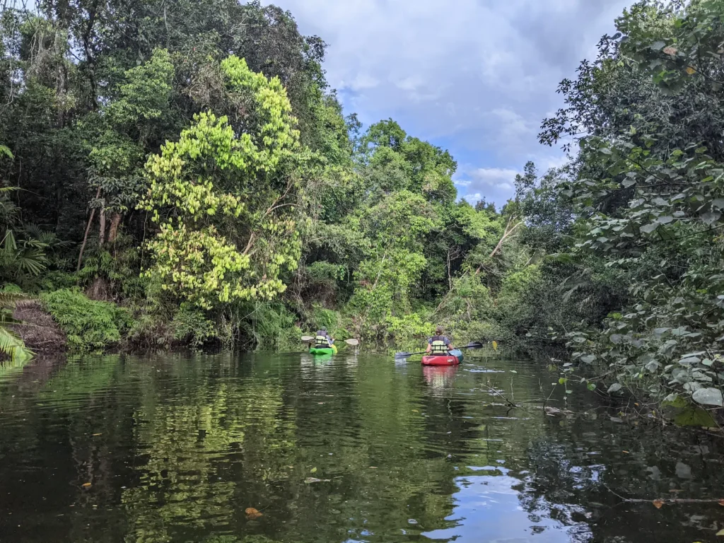 A red kayak sits in the water of a small stream with green overhanging branches.