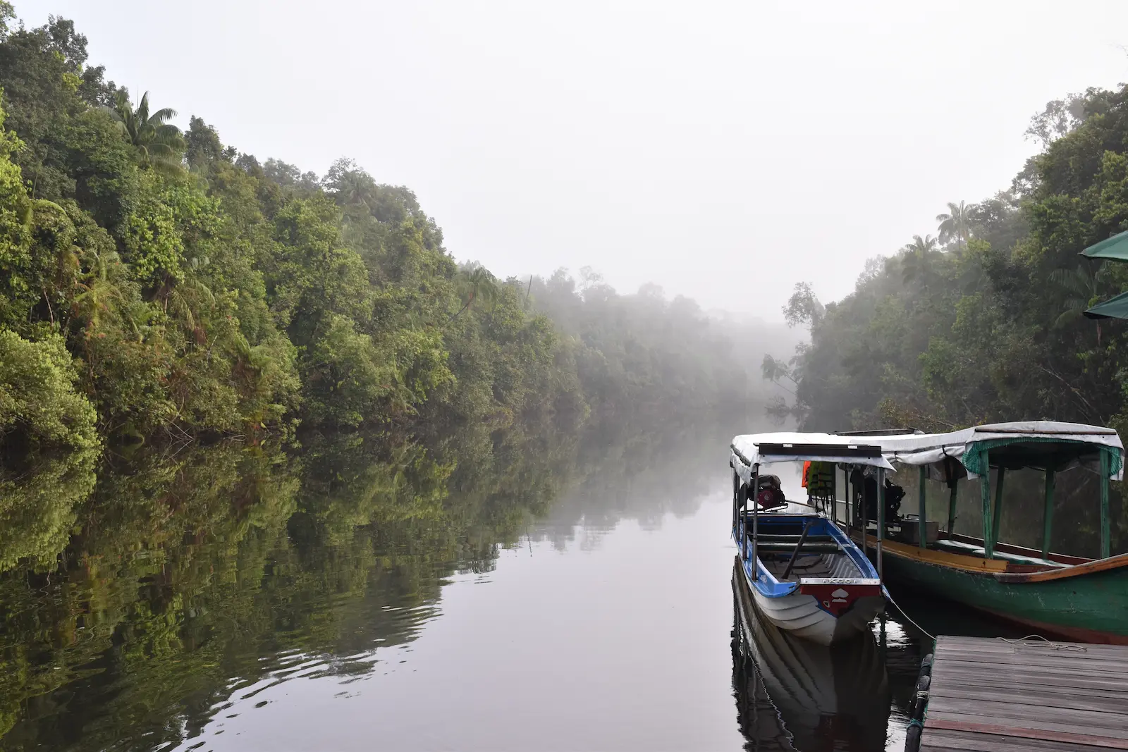 A foggy calm river with large trees on each side and two long wooden boats moored on a jetty.