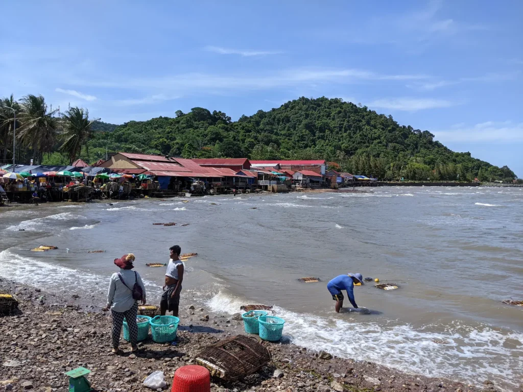 Fishermen collecting crab baskets in the shallow water near Kep Crab Market, with seafood restaurants built over the water and Kep National Park in the background.