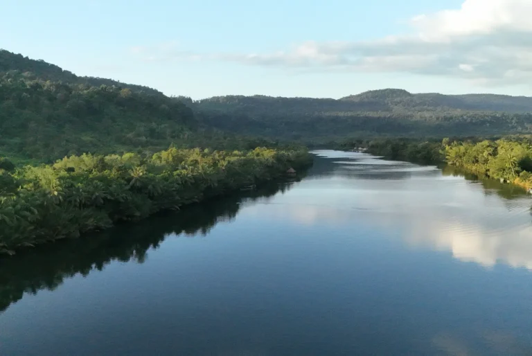 Drone shot of the River Tatai with hills in the background