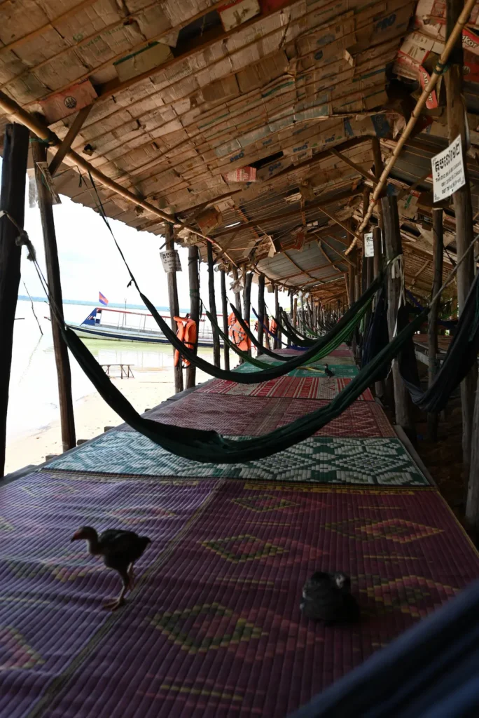 A row of huts next to a reservoir. Each hut has a mat, hammocks and in the foreground are chickens