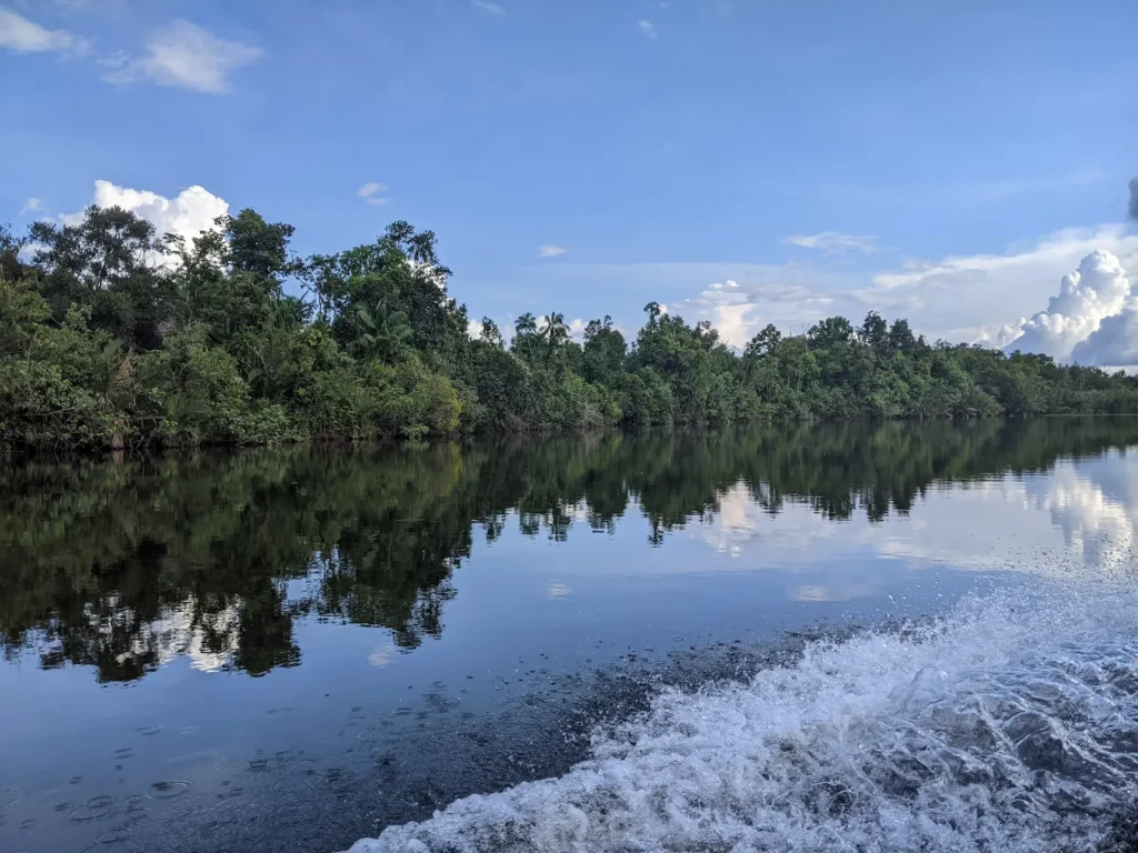Crystal clear river on the way to the Cardamom Tented Camp with the wake from the boat in the foreground.
