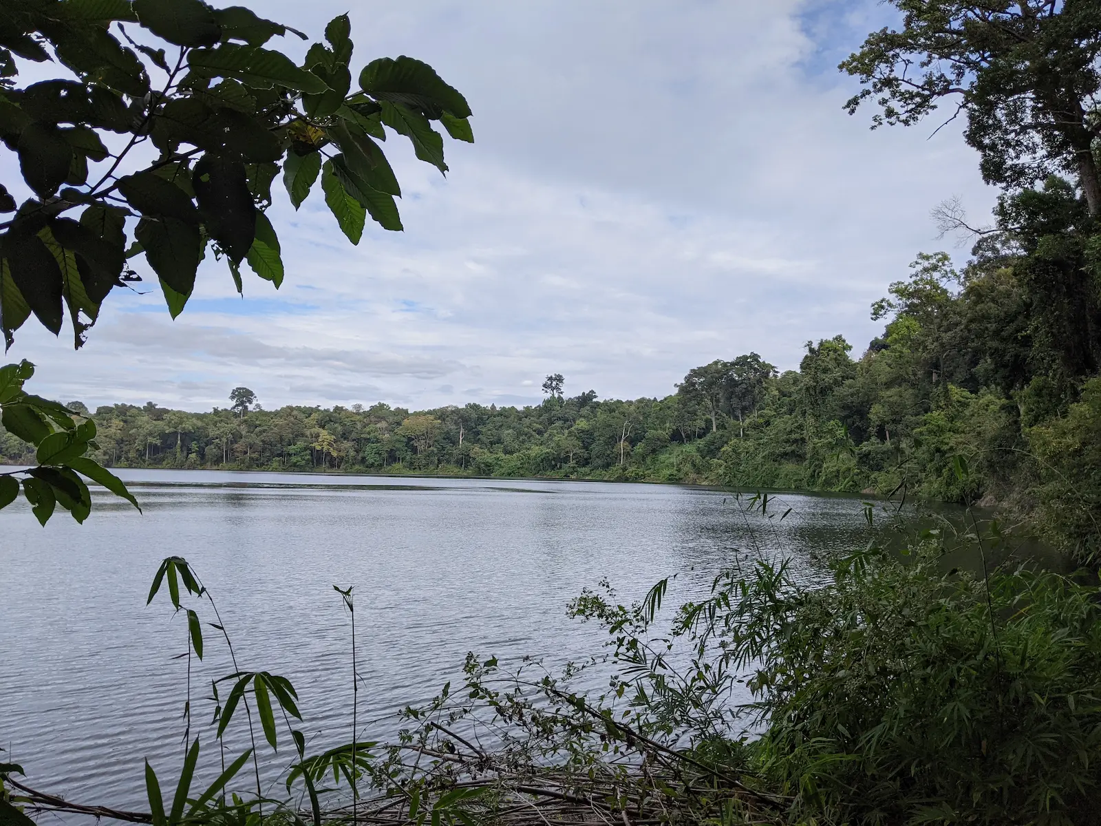 A lake sits through some trees. The lake is surrounded by trees.