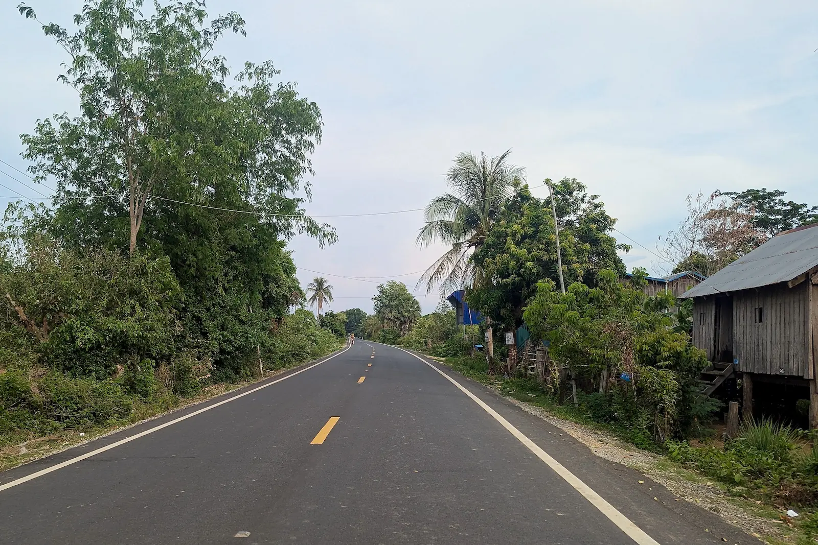 Lush trees line a road with a tin building next to it.