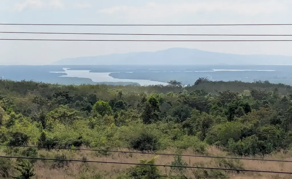 Photo taken from the top of a hill over the mangroves in Koh Kong