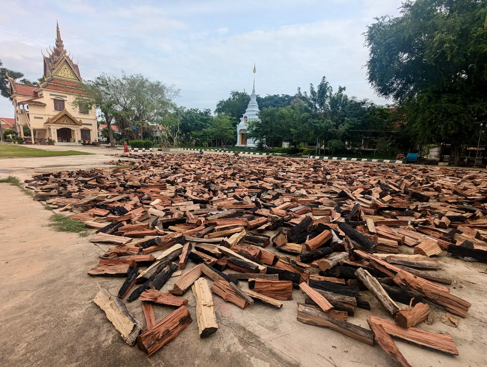 Cut wood laying outside a pagoda.